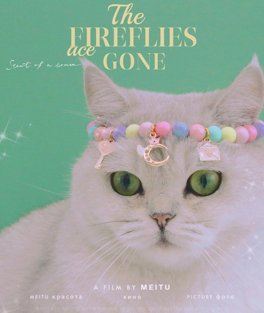 Colourful macaron charm pet collar and bracelet set for rabbits, cats, and dogs in three sizes.