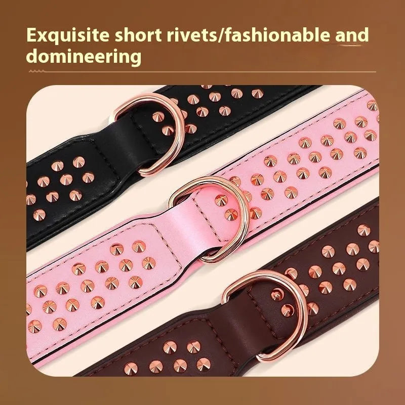 Close-up of a black leather dog collar with metal rivets and an adjustable buckle.