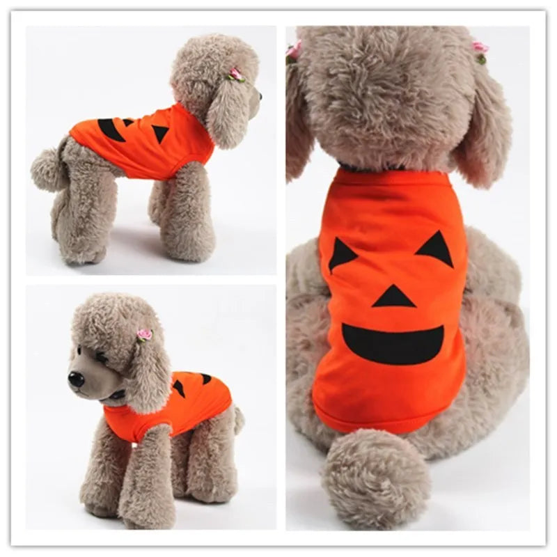 Orange Halloween pumpkin pet shirt with two face style options, for cats and small to medium dogs, sizes XS to XXL