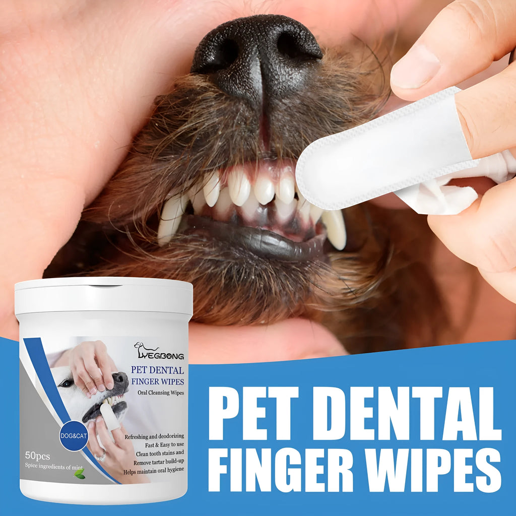 Can of 50 disposable pet teeth cleaning finger stall wipes for dog dental care