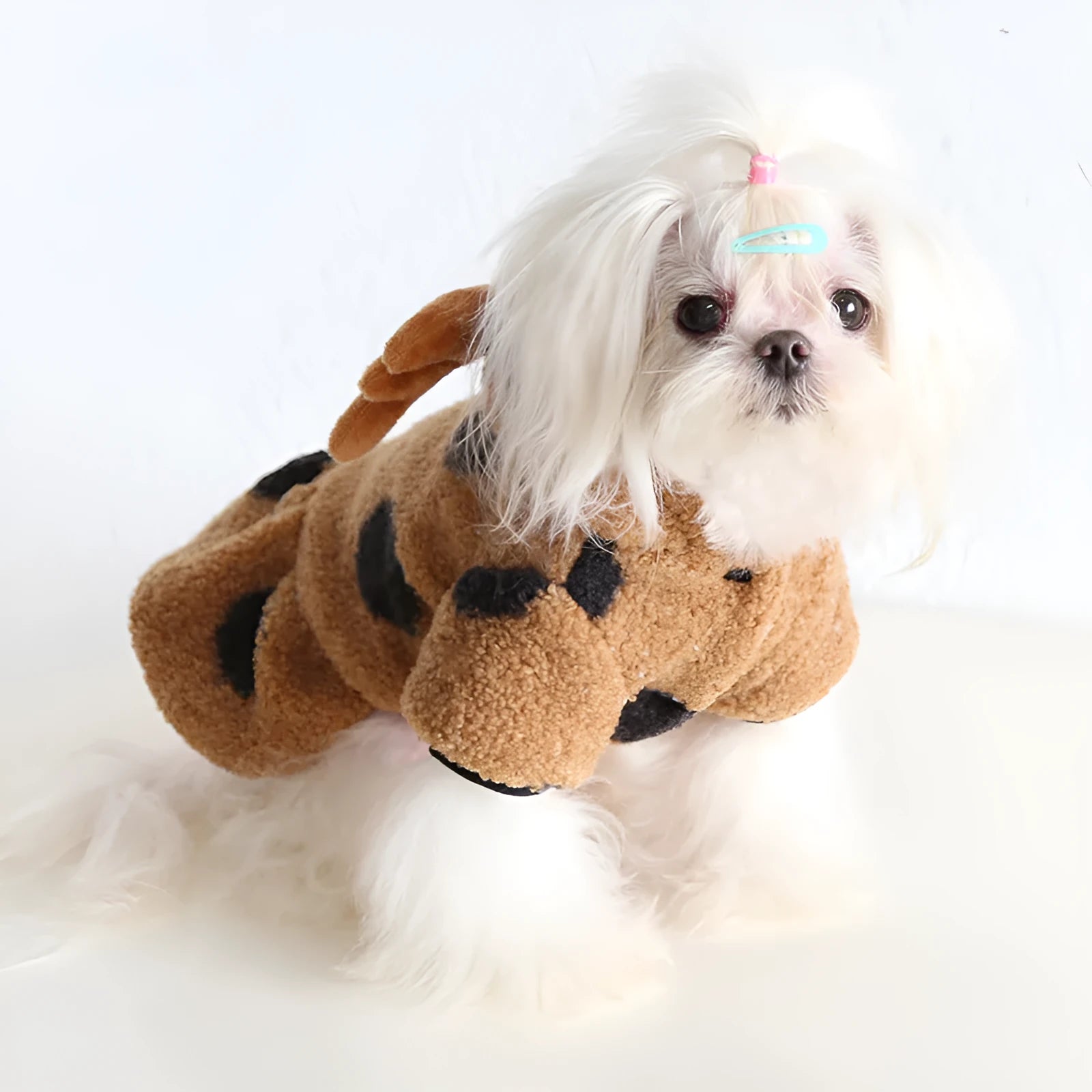 Polka dot pet clothing set showing skirt and four-leg options for cats and dogs