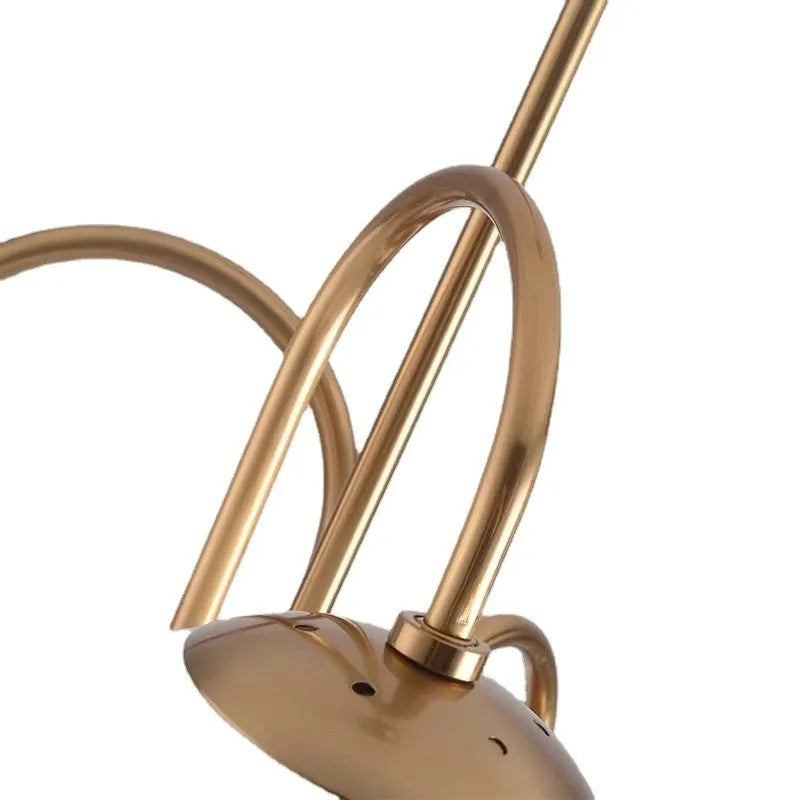 Modern iron droplight with black finish and warm light, size 790x680mm, for living room or restaurant use