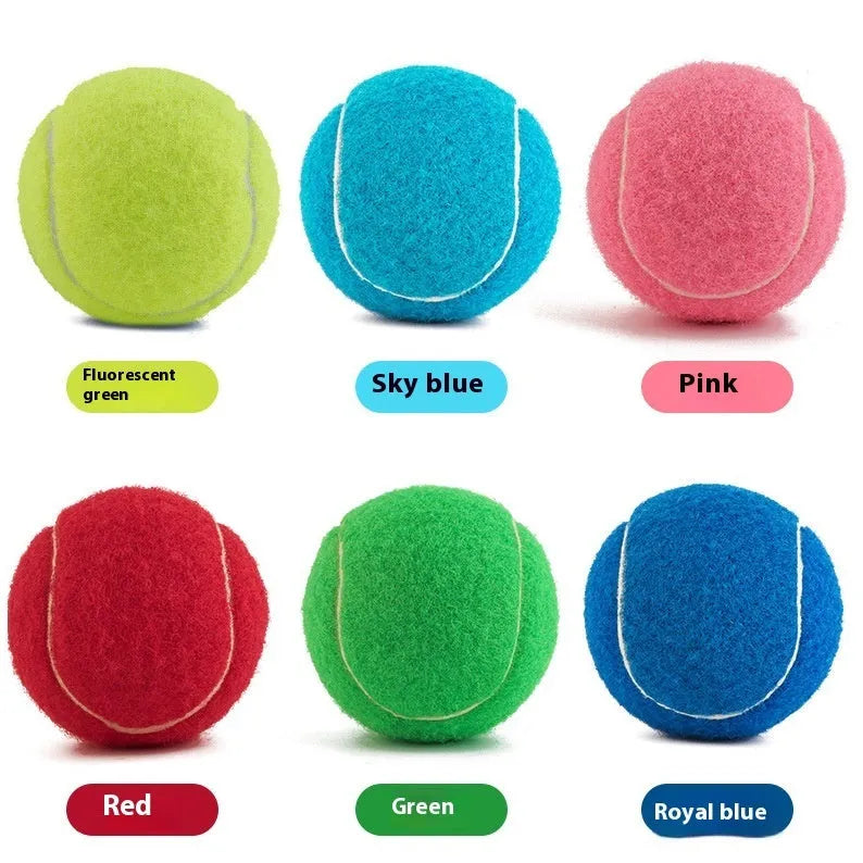 Rubber dog tennis ball toy in five colours: blue, green, pink, orange, and red