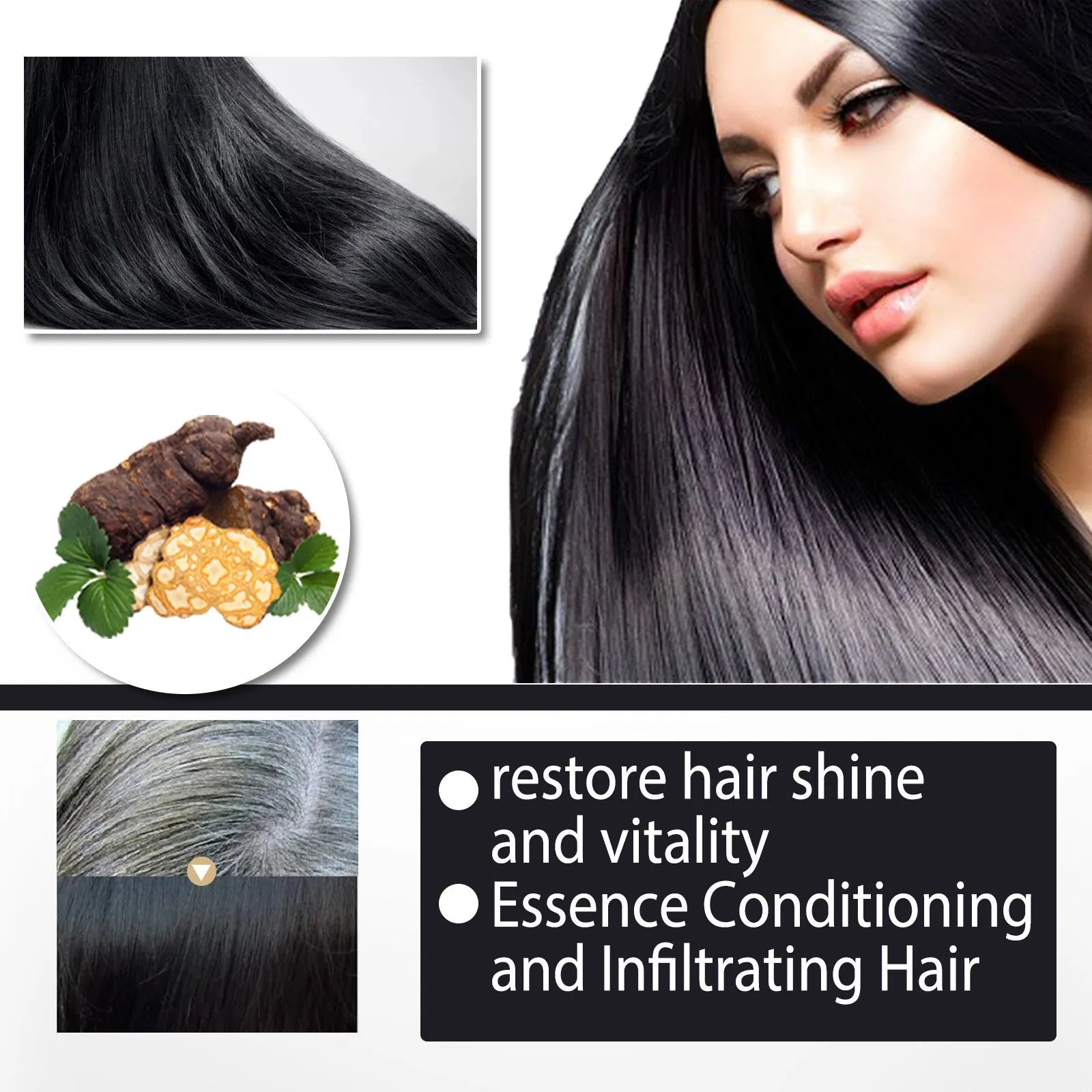 Boxed 100ml bottle of Polygonum Multiflorum Shampoo for hair colour restoration.