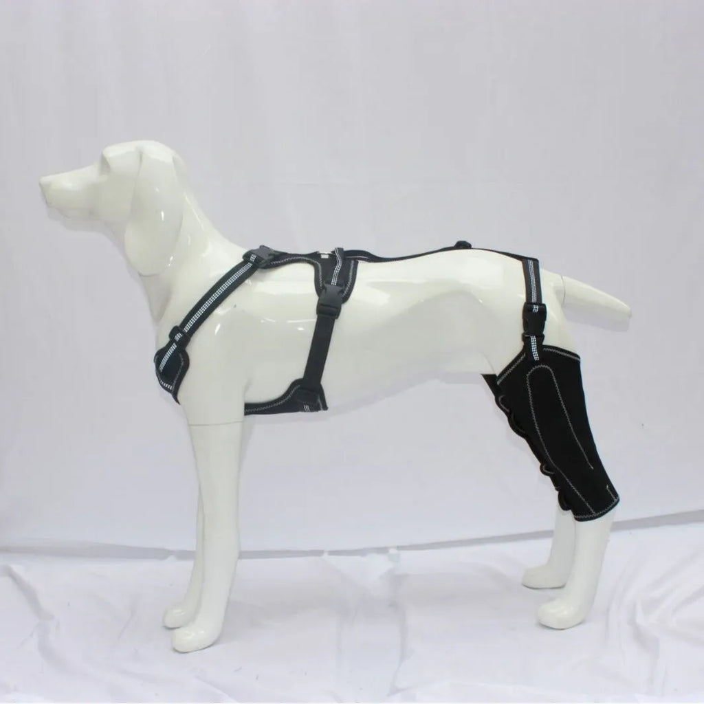 Black dog thigh protective sleeve with adjustable metal brace for postoperative recovery in medium size