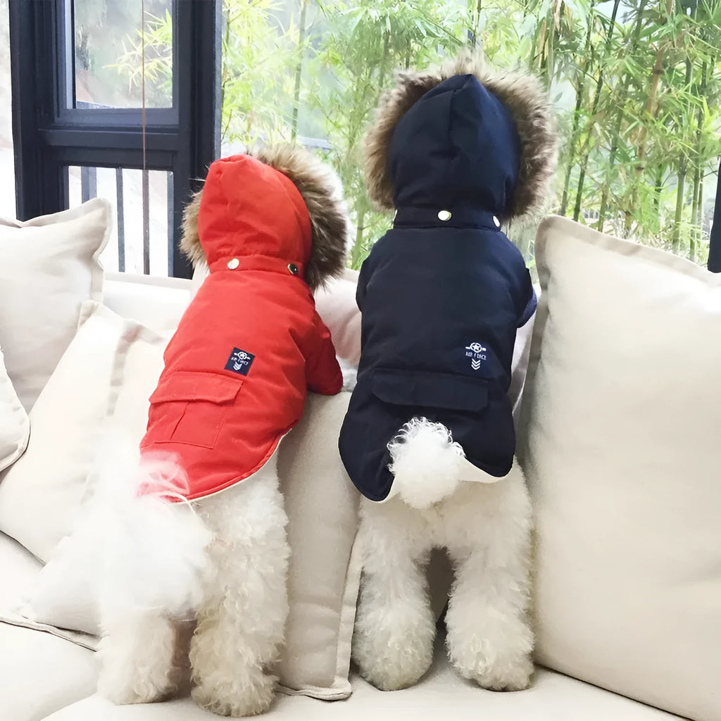 Hooded cotton coat dog clothing in beige on a small dog with an adjustable hood and button closure