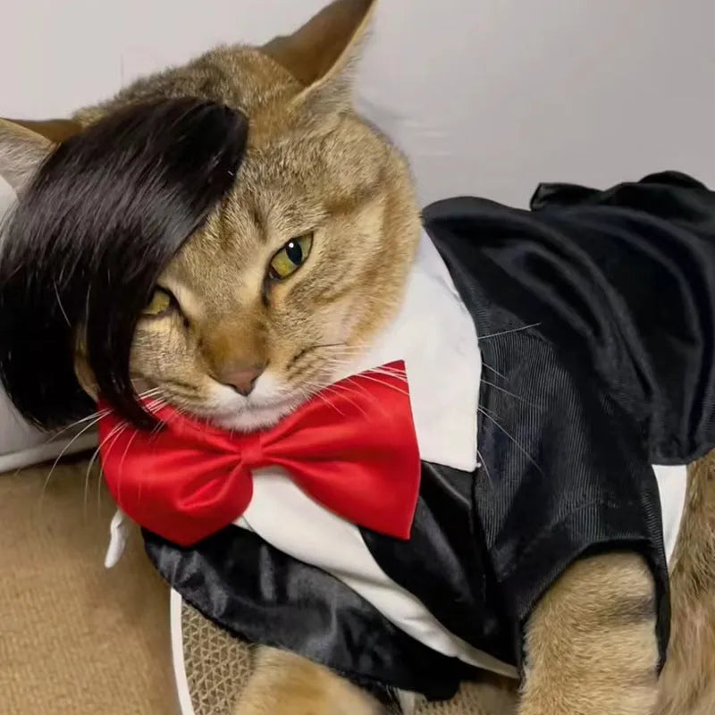 Black polyester cat wig with imitation braid for fox fancy dress costume.