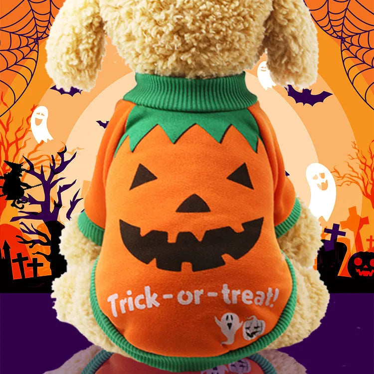 Black cat Halloween pet clothes on a small dog, showing ribbed leg openings and belly cut for potty breaks