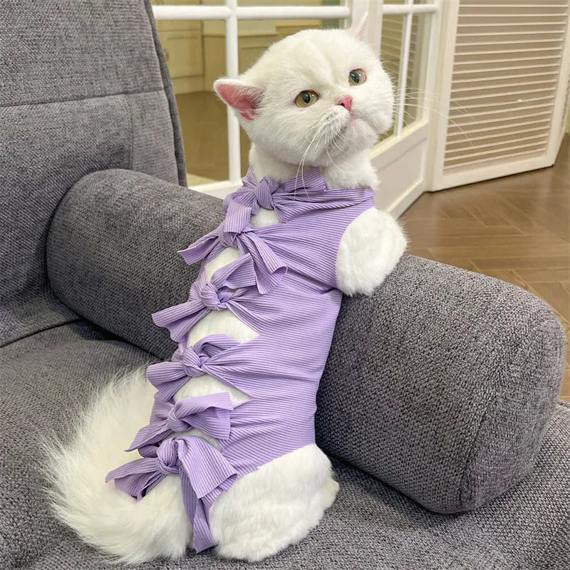 Lace-up back closure cat recovery suit in blue, sized for post-operative sterilisation care
