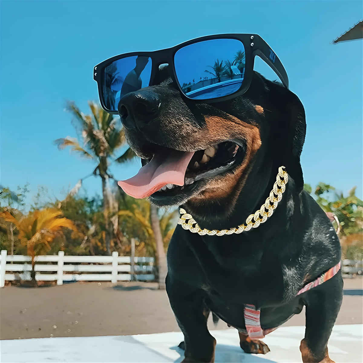 Pet dog collar necklace with diamond-style detailing, Cuban link chain, gold or silver, 20cm to 70cm