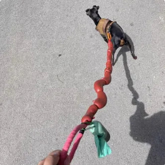 Brown pet hand rope leash with large sausage-shaped chew toys, measuring 108cm total length with grip tape section