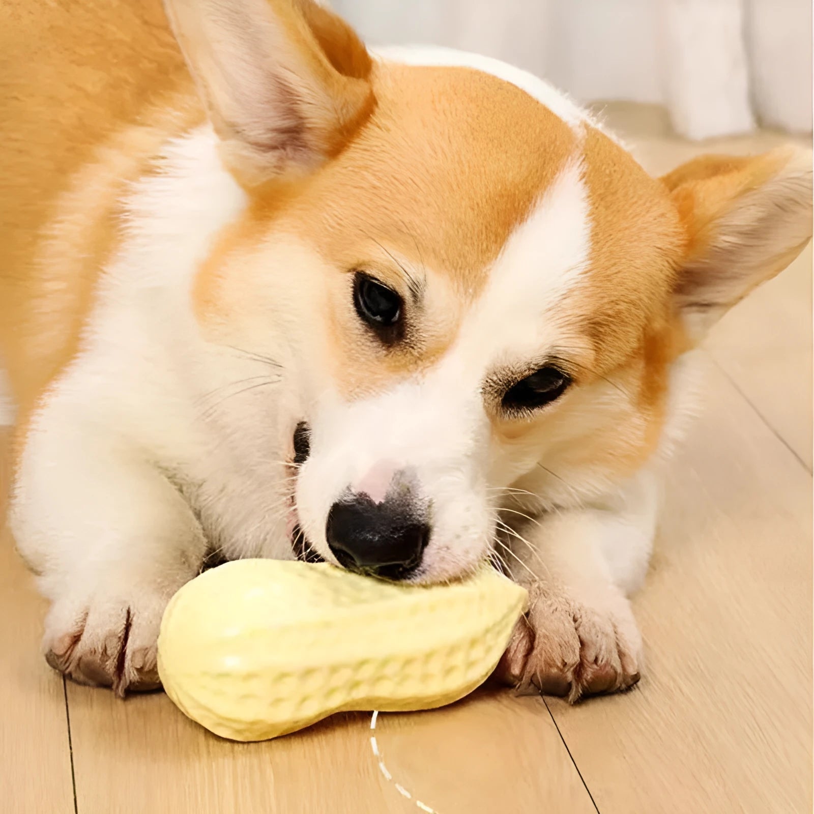 Yellow TPR peanut-shaped dog chew toy with textured shell on a white background.