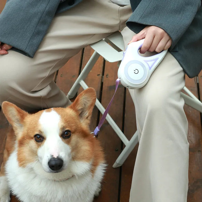 Retractable dog leash with automatic telescopic cord and one-handed brake in Dream Purple colour