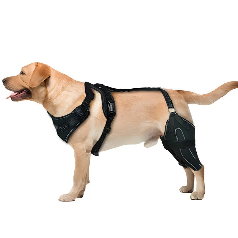 Black dog thigh protective sleeve with adjustable metal brace for postoperative recovery in medium size