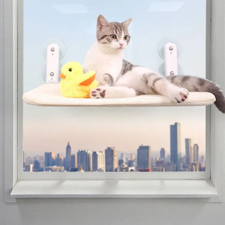 A cat hammock with a stainless steel frame and suction cups attached to a window, showing a beige mesh seat cushion.