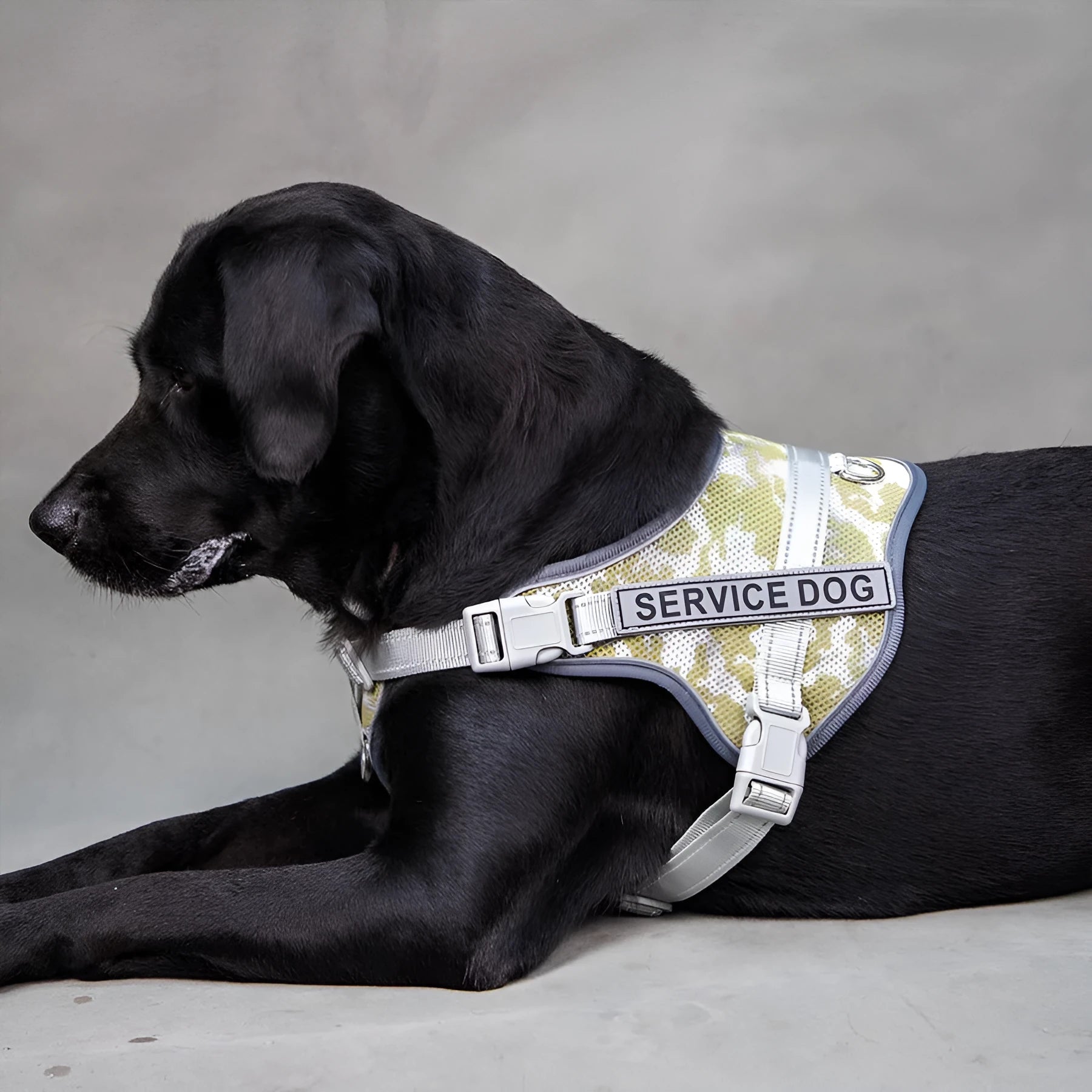 Colourful reflective polyester dog harness with anti-strangulation neck protection in multiple sizes