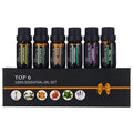 Six 10ml aromatherapy massage oil bottles with lavender, tea tree and citrus essential oil blends