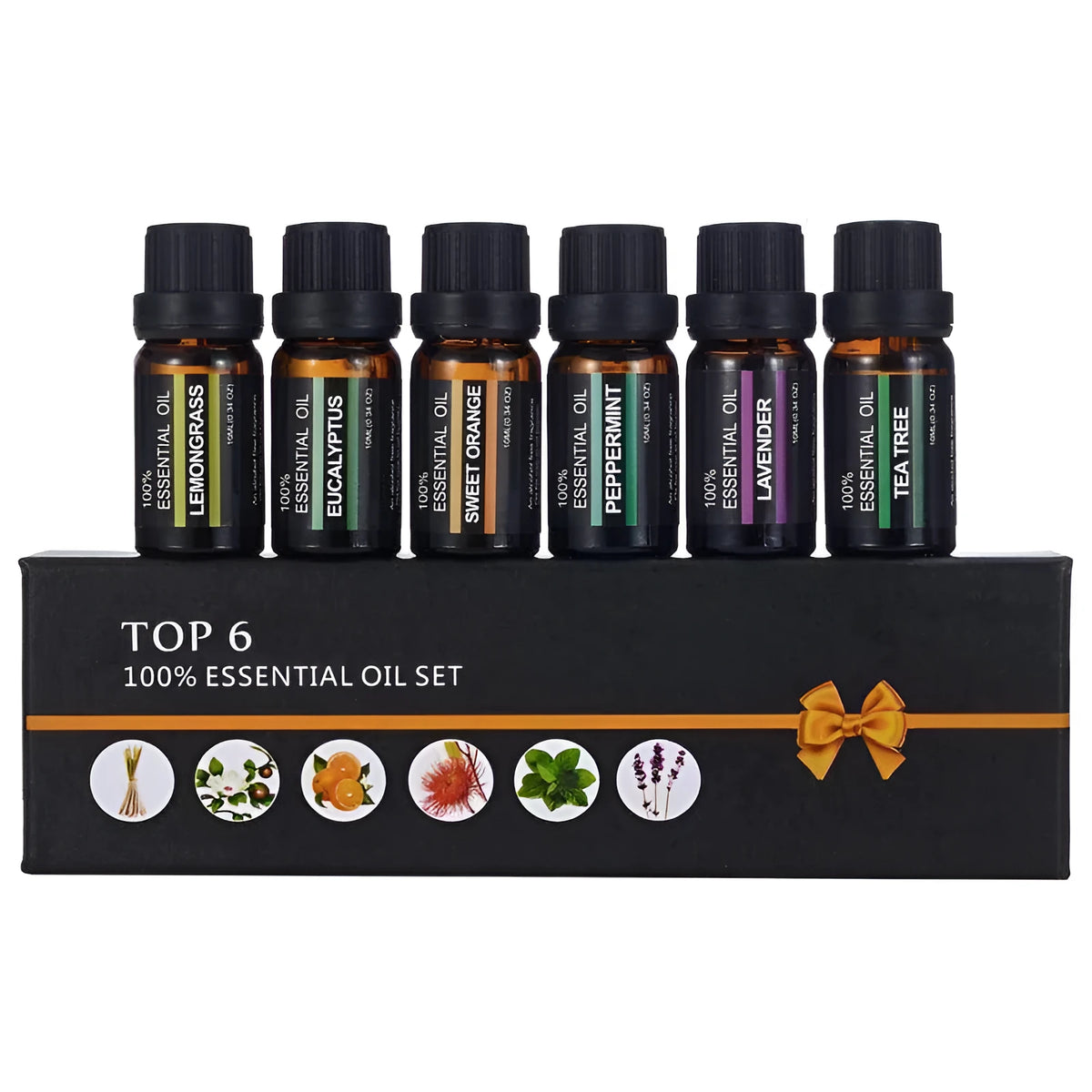 Six 10ml aromatherapy massage oil bottles with lavender, tea tree and citrus essential oil blends