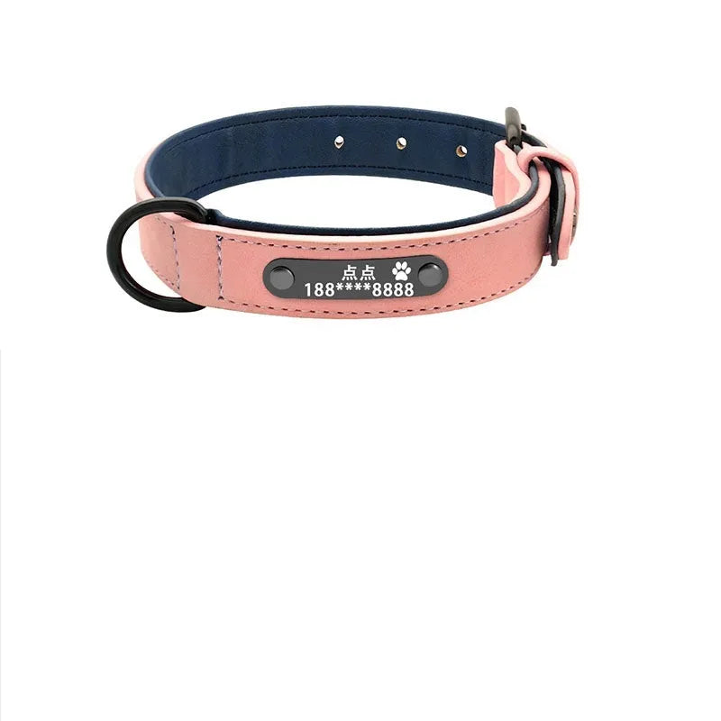 Custom dog collar made of microfiber leather and genuine leather with lettering, available in multiple sizes and colours, with optional tow rope