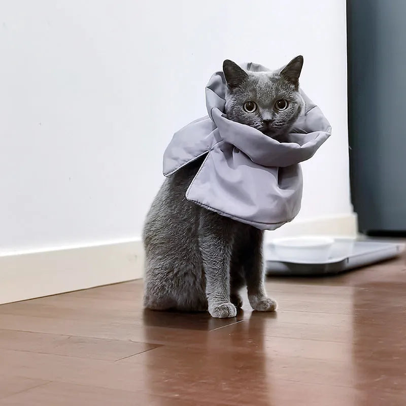 Soft light blue adjustable polyester cat recovery collar with elastic buckle on a flat surface.