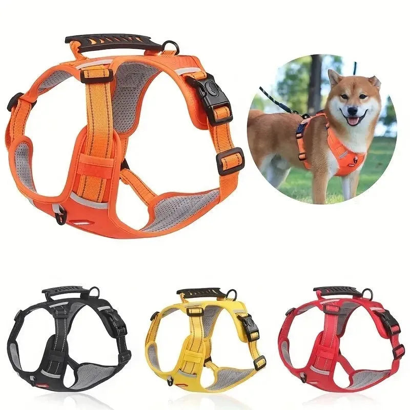 Polyester dog chest harness and leash in multiple colours and sizes