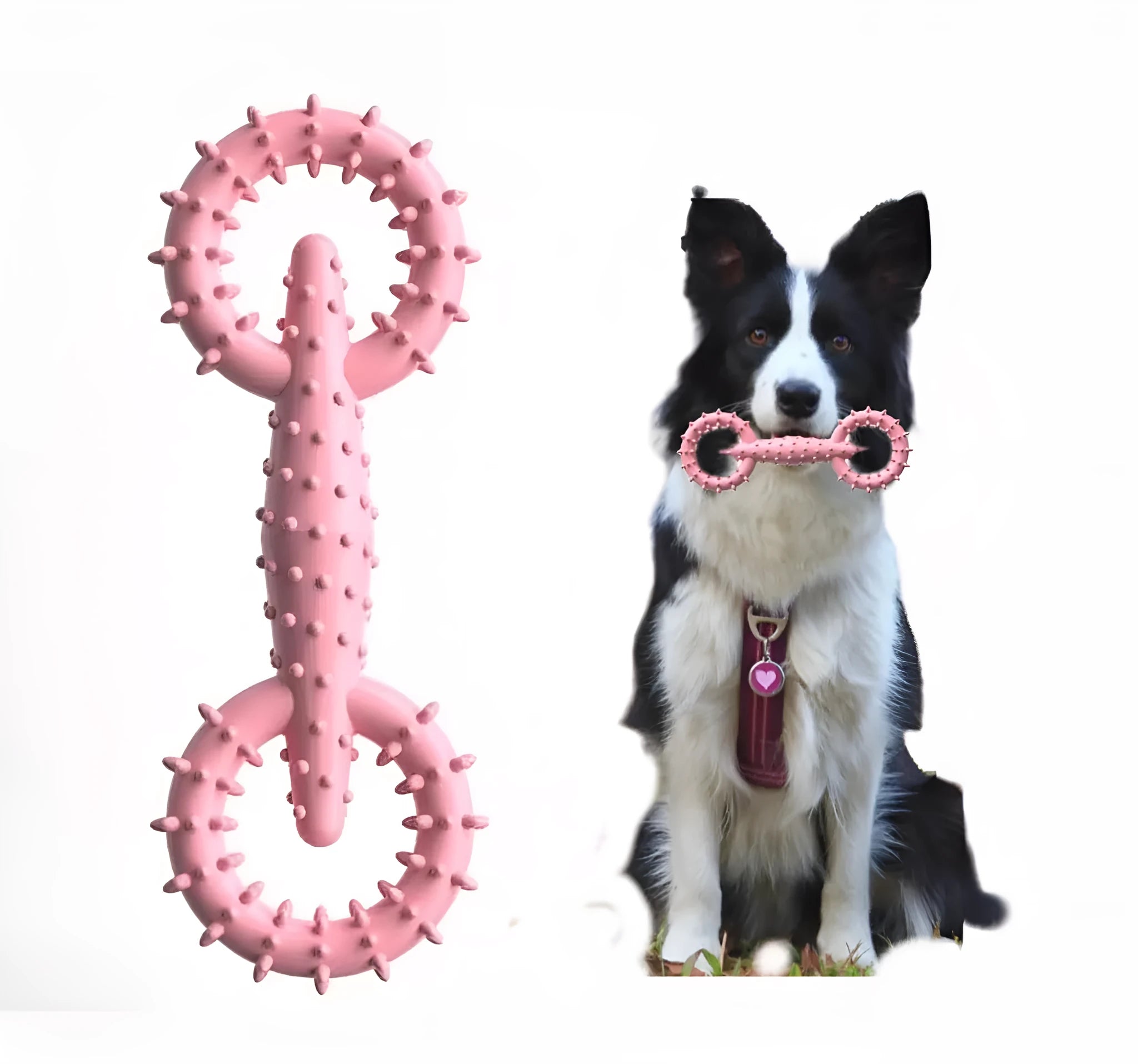 Blue TPR dog chew toy ring measuring 16cm diameter for teething puppies