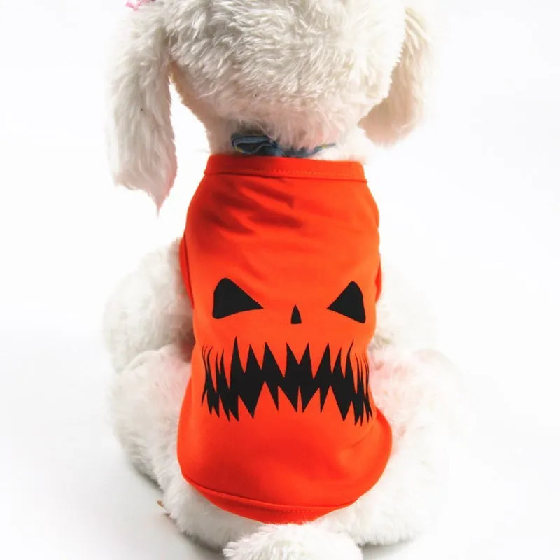 Orange Halloween pumpkin pet shirt with two face style options, for cats and small to medium dogs, sizes XS to XXL