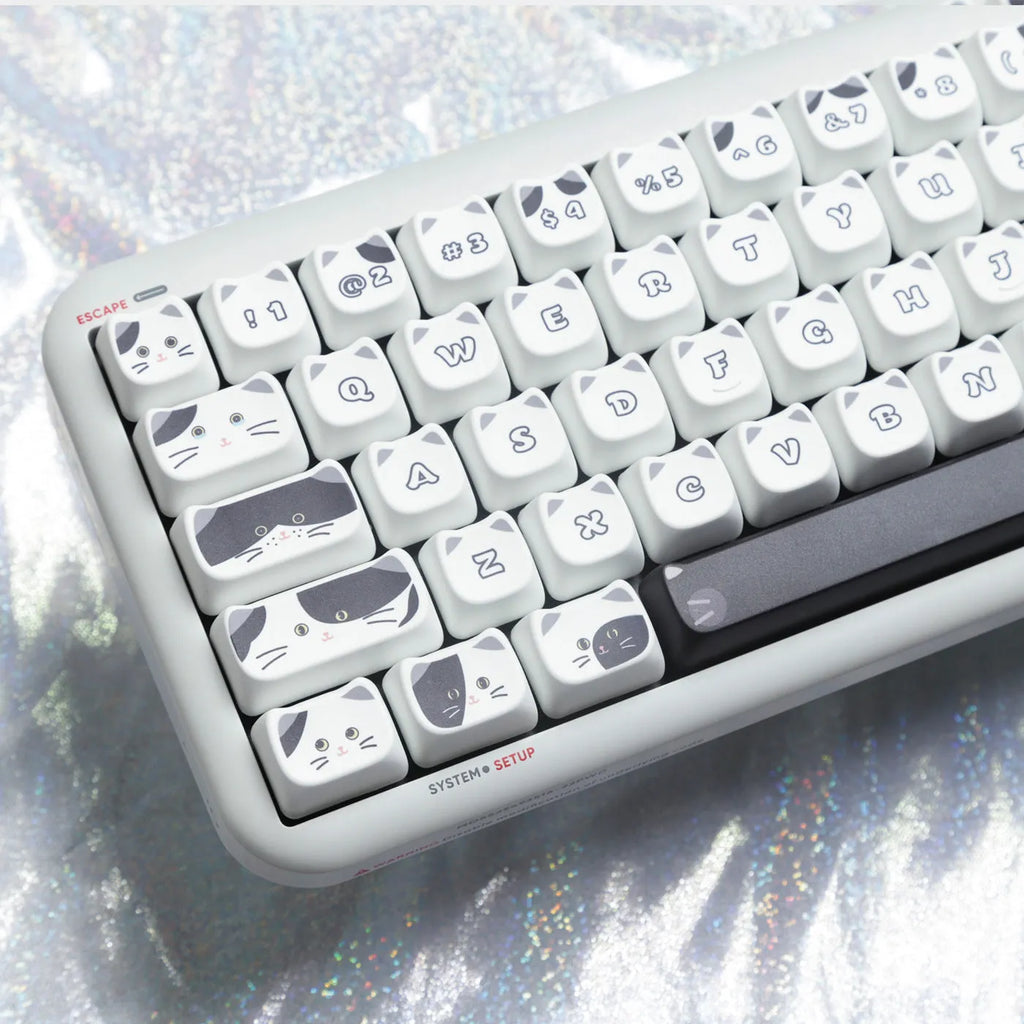 Black and white kitten sublimation key cap set for mechanical keyboards, PBT MAO profile, boxed packaging