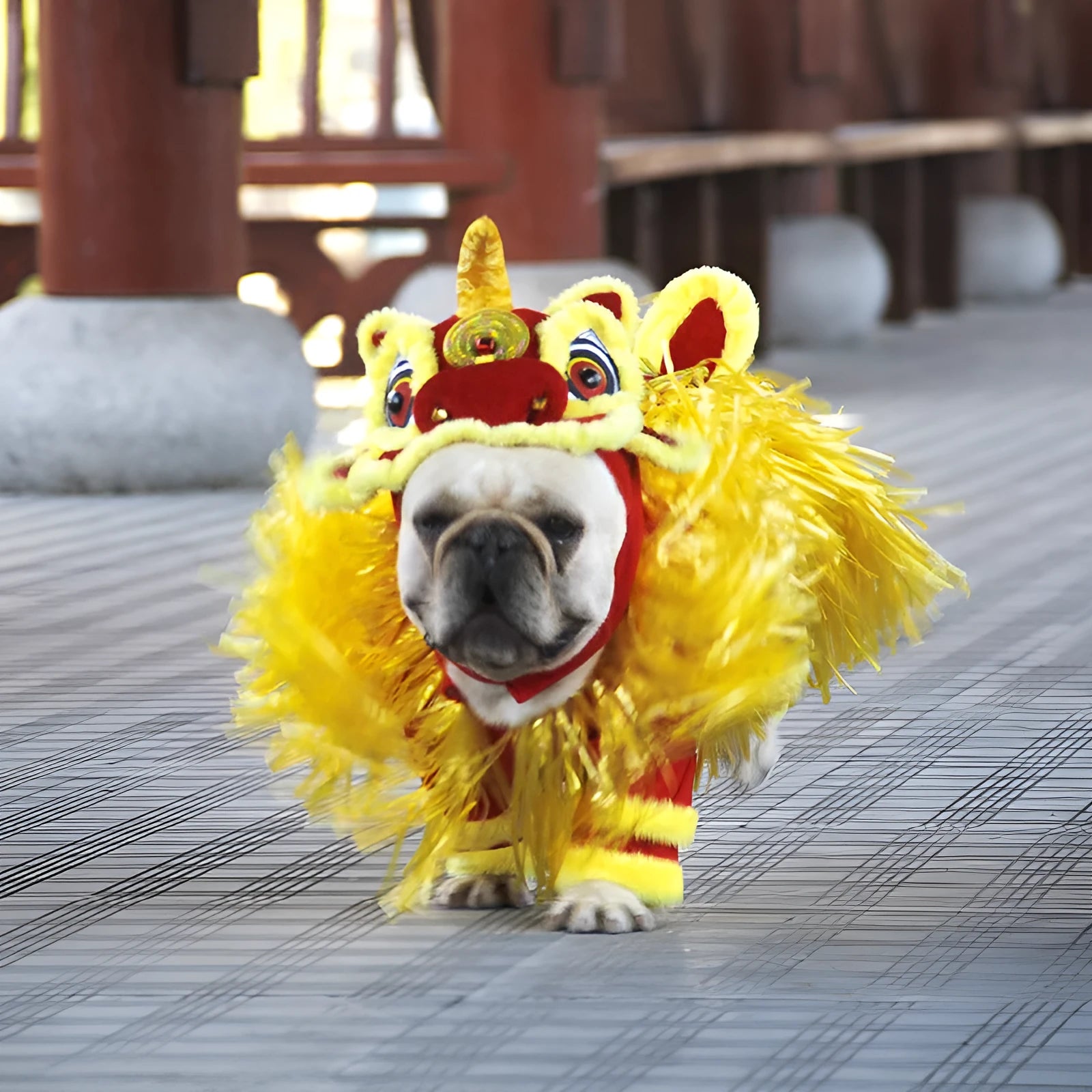 Chinese-style lion dance pet costume in polar fleece for cats and dogs