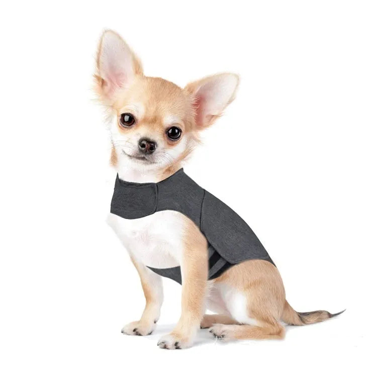 Heather grey dog anxiety vest in brocade cotton ponte-de-roma fabric on a medium-sized dog.