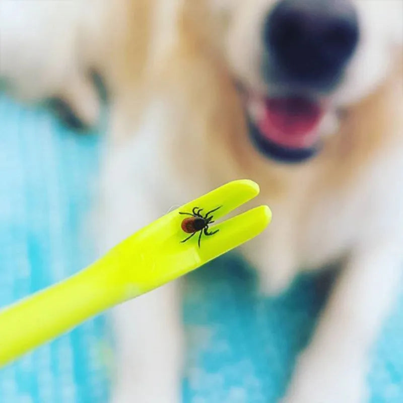 Three plastic pet tick removal hook tools in blue and green colours
