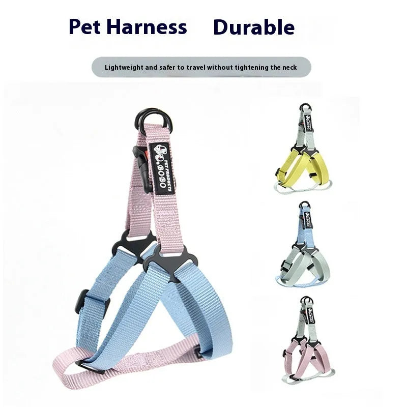 Nylon adjustable dog breast strap with hand holding rope in blue pink colour on white background