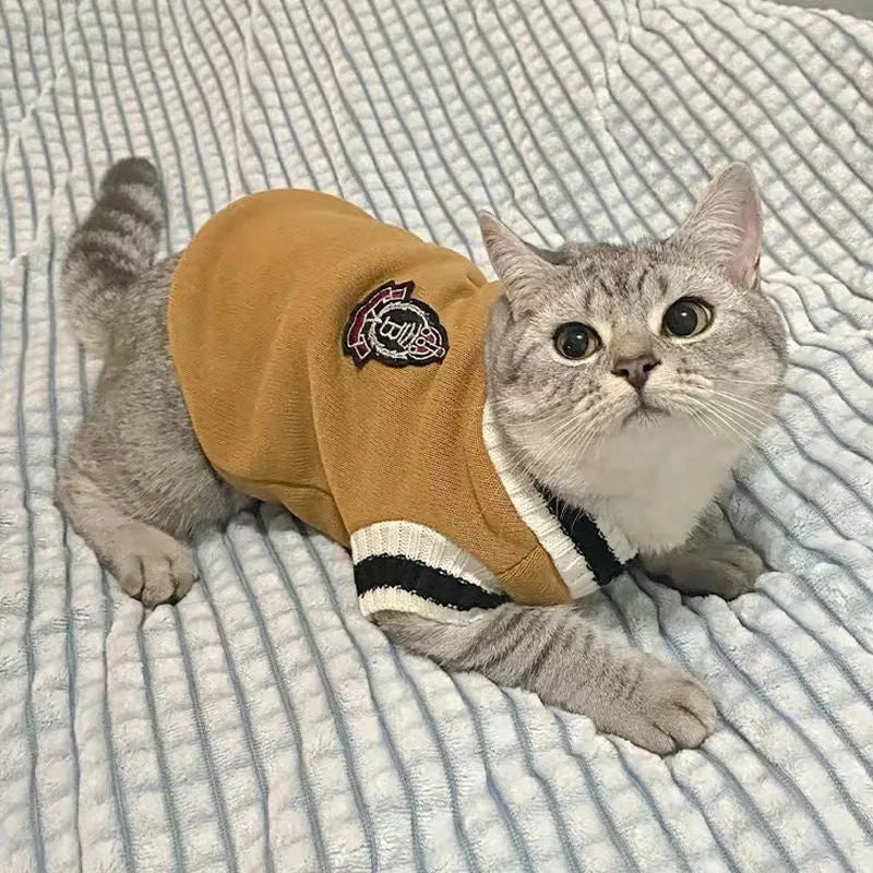 Silver gradual layer college style winter cat clothes in blue duck colour for British Shorthair cats