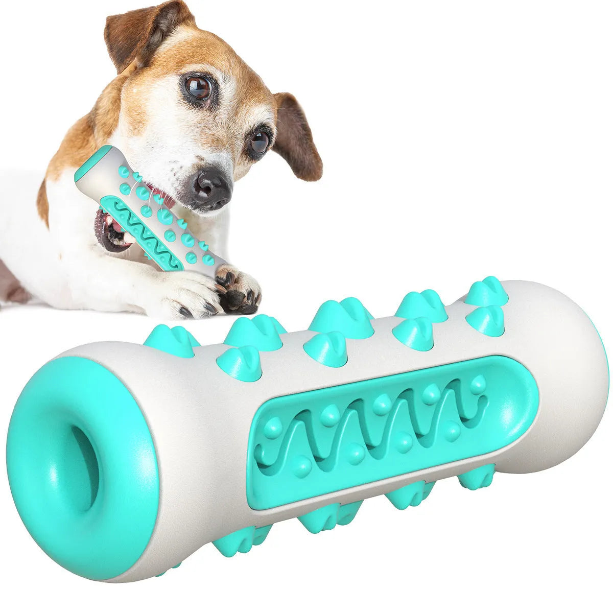 Natural rubber dog dental chew toy in blue, showing textured cleaning surface and size.