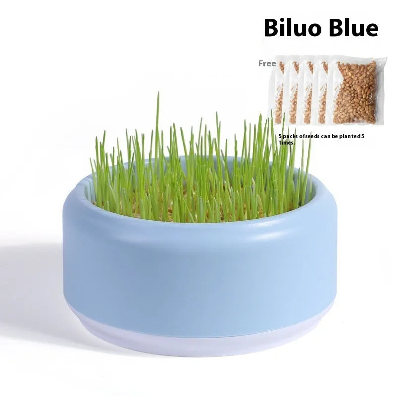 Blue hydroponic cat grass growing kit cup with cat grass seeds next to it.