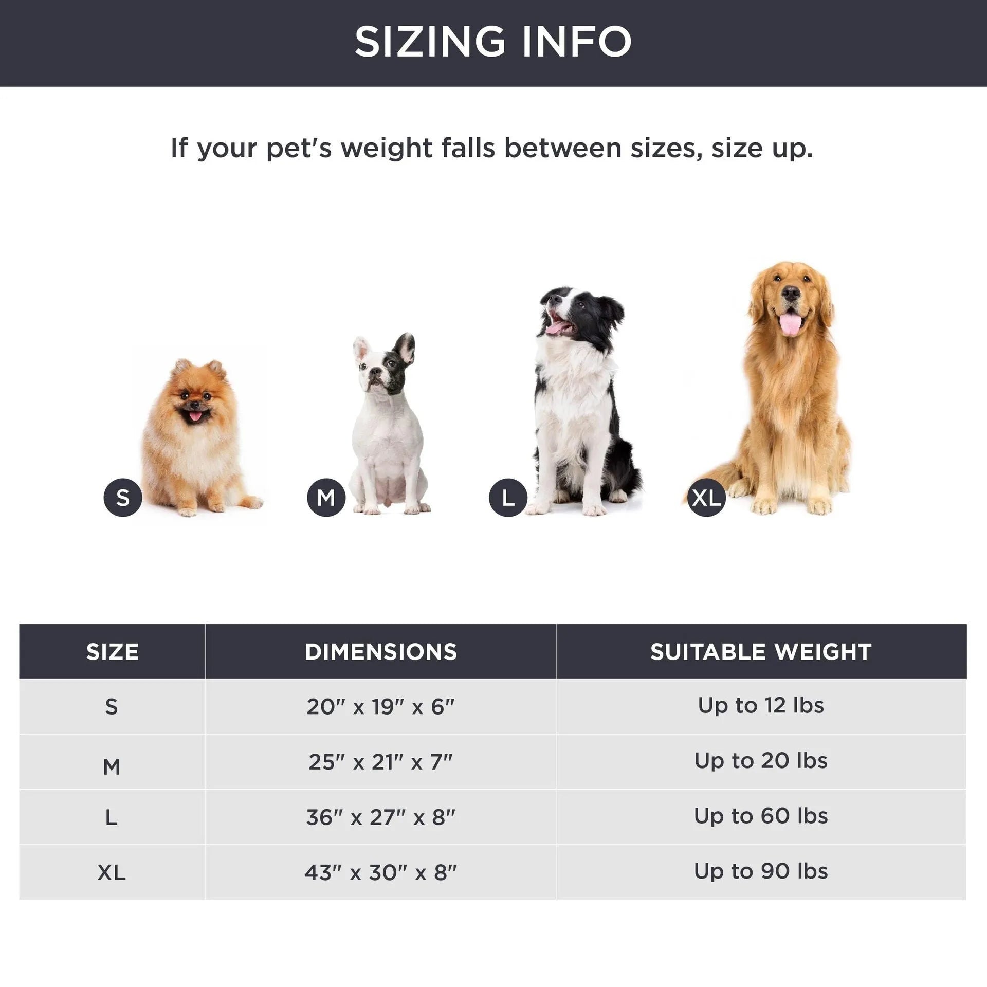 Raised-edge pet dog cat bed cushion in beige, shown in a large size with high sides.