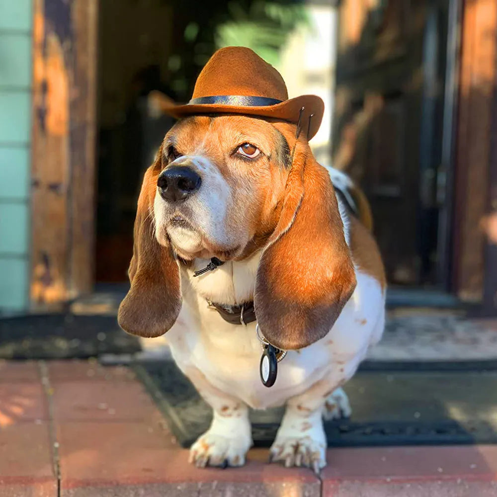 Brown adjustable fabric cowboy hat on a dog, showing rounded brim and headband strap.