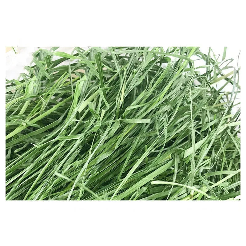 Dried Timothy grass 1kg gross 680g net pack for rabbits chinchillas and guinea pigs