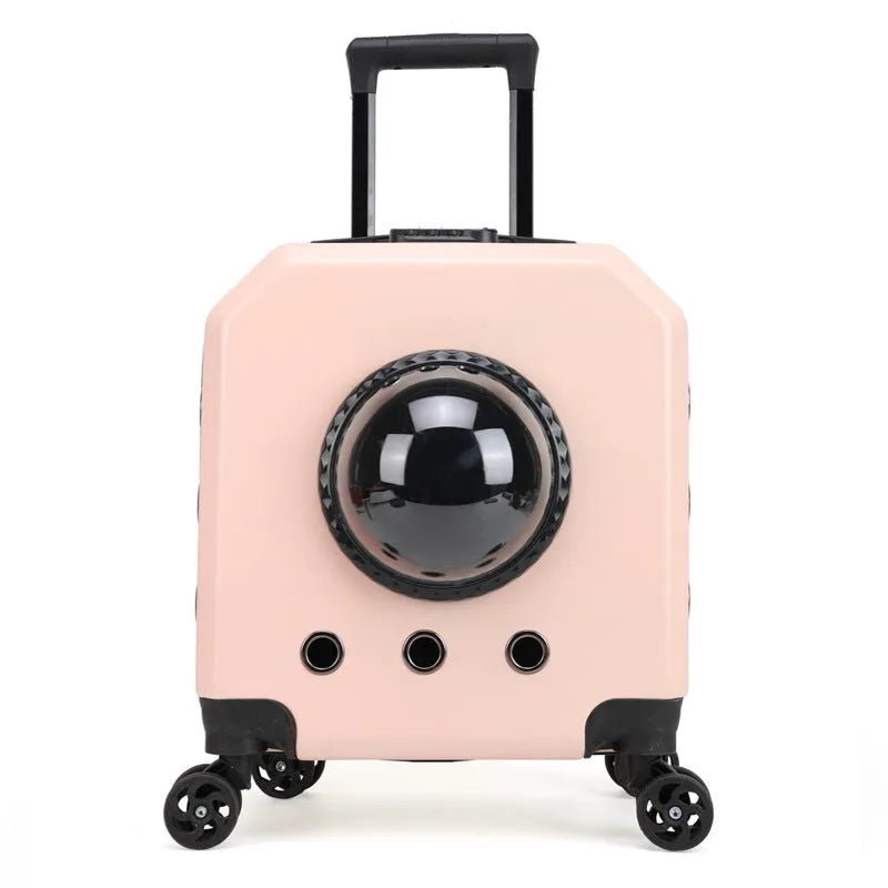 PVC hard-shell pet trolley case in orange colour with wheels and carrying handle.