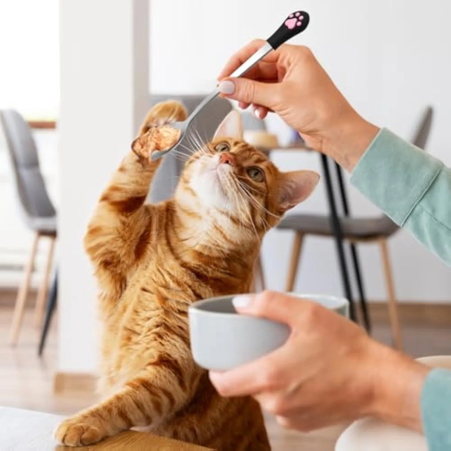 Two stainless steel pet food spoons with silicone grips, one white and one black, featuring a cat paw print.