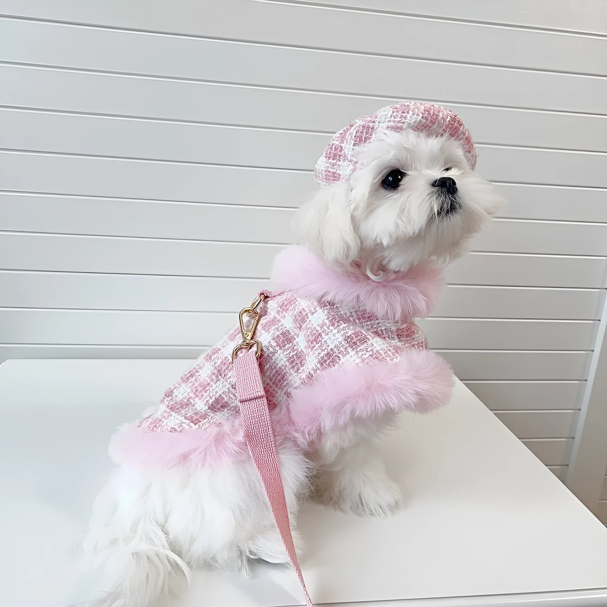 Pink polyester cat costume set with cape, beret and hand-holding rope leash in sizes XS to XL