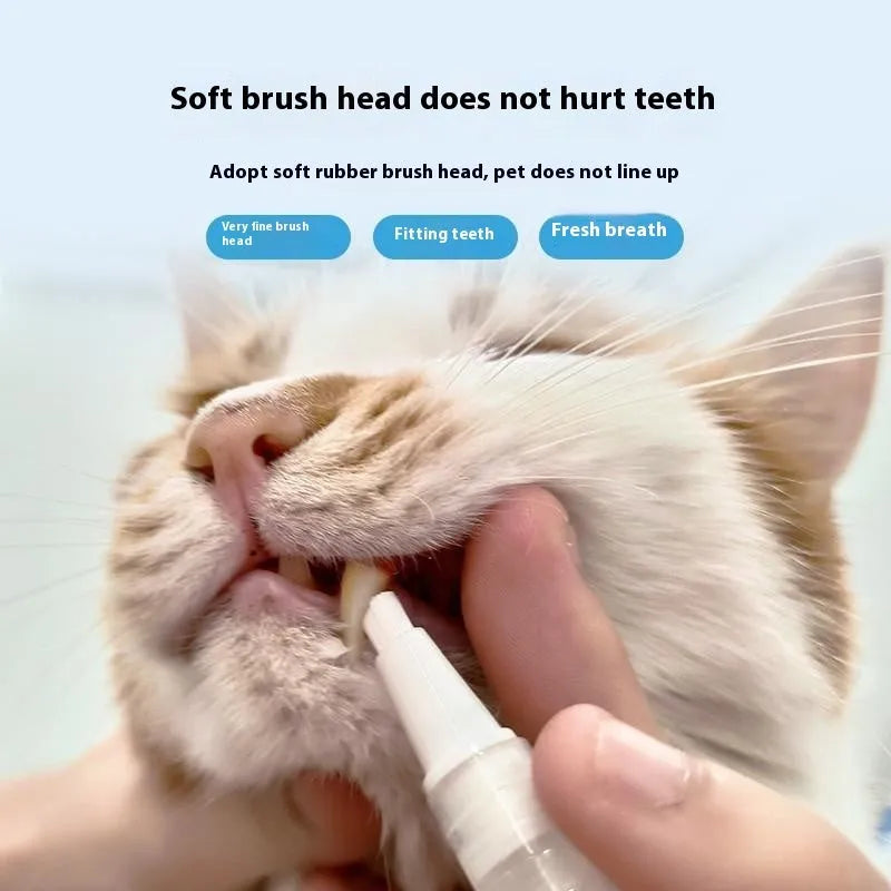 Plastic pet toothbrush pen with integrated toothpaste reservoir for dog dental cleaning