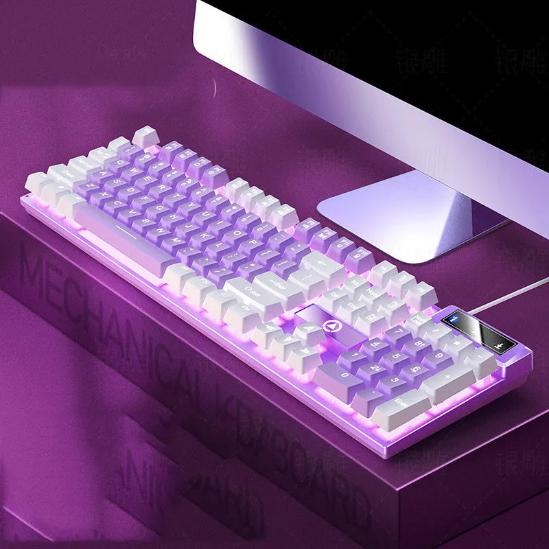 Wired plastic USB keyboard in purple white colour for computer game and office typing