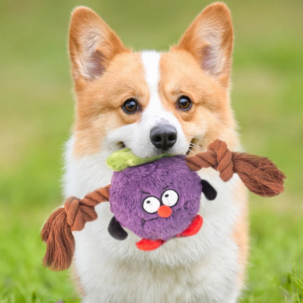 Green and purple interactive dog plush rope knot tug of war toy with bite-resistant design.