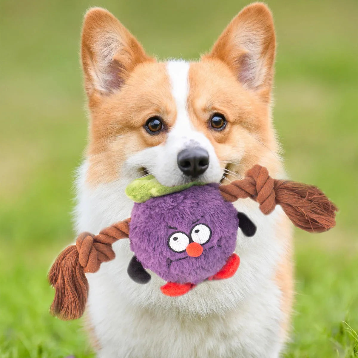 Green and purple interactive dog plush rope knot tug of war toy with bite-resistant design.
