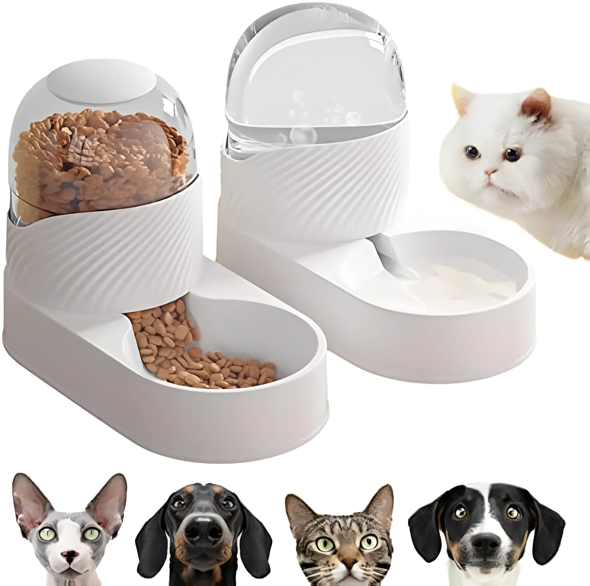 White PP gravity cat feeder and water dispenser set with wave-shaped design