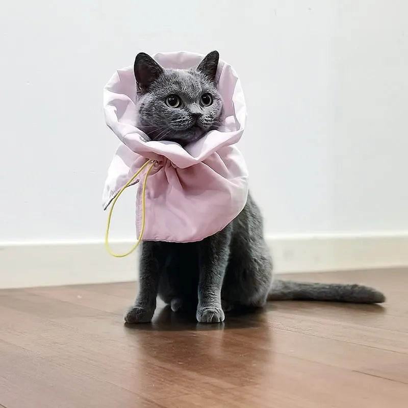 Soft light blue adjustable polyester cat recovery collar with elastic buckle on a flat surface.