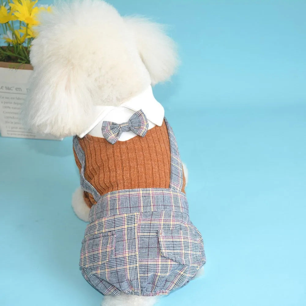Orange cotton dog shirt shown on small breed pet, demonstrating suit-style pet clothing