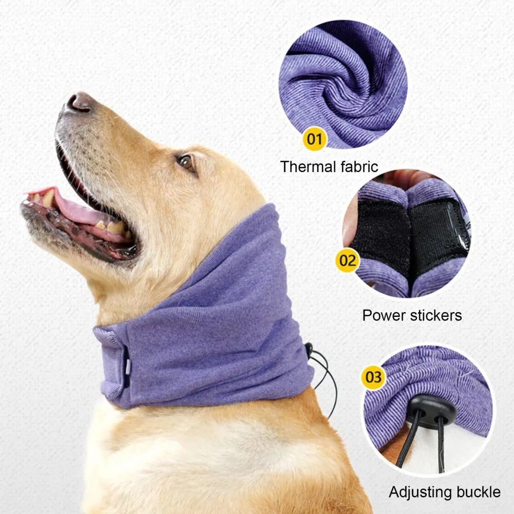 Black dog hoodie with ear covers on canine model showing closure system