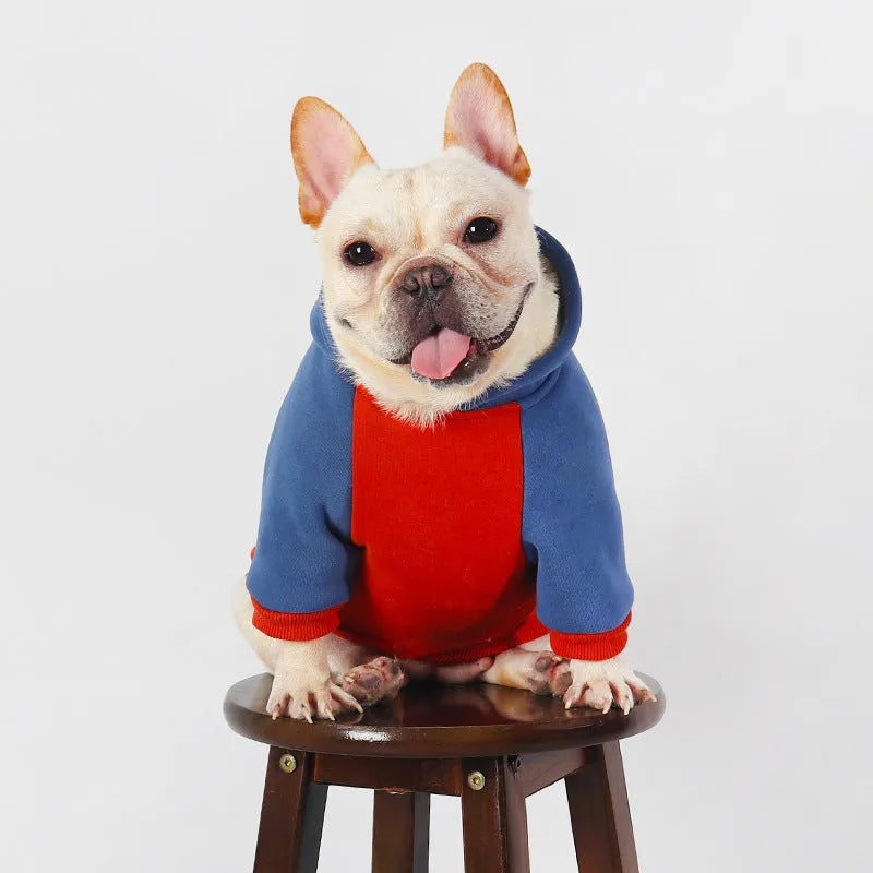 Red cotton dog clothing for small and medium breeds in autumn winter season